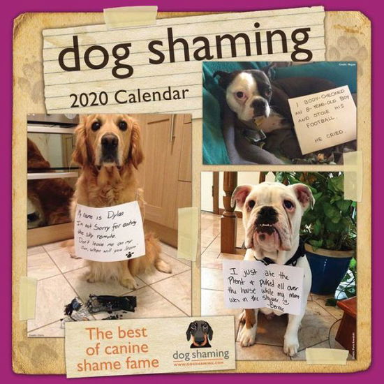 Cover for Pascale Lemire · Dog Shaming 2020 Square Wall Calendar (Calendar) (2019)