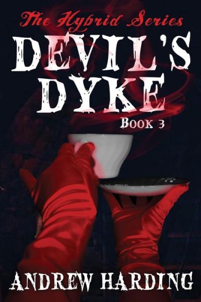 Cover for Andrew Harding · Devil's Dyke (Paperback Book) (2013)