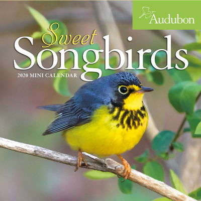 Cover for National Audubon Society · 2020 Audubon Sweet Songbirds Mini Wall Calendar (Calendar) (2019)