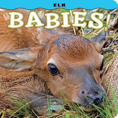 Cover for Steph Lehmann · Elk Babies! (Board book) (2016)