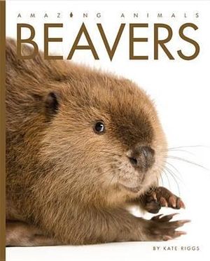 Cover for Kate Riggs · Amazing Animals: Beavers (Hardcover Book) (2015)