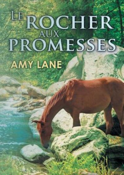 Cover for Amy Lane · Le Rocher Aux Promesses (Pocketbok) (2015)