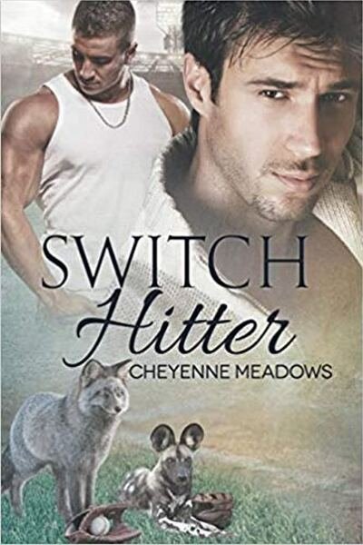 Cover for Cheyenne Meadows · Switch Hitter Volume 3 - Shifter Hardball (Taschenbuch) [New edition] (2017)