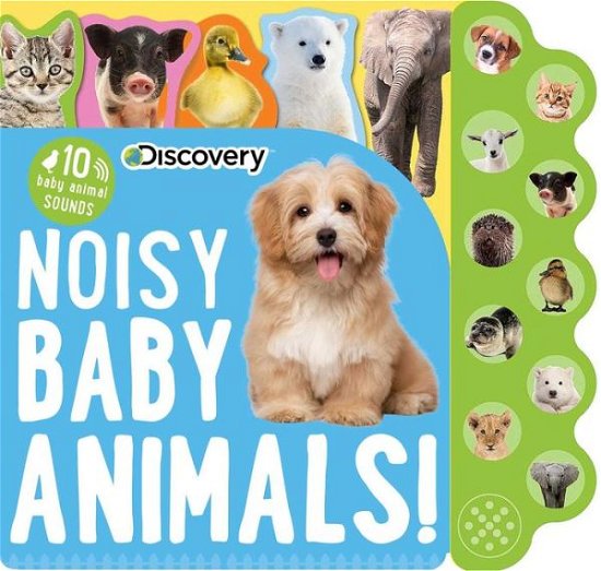 Cover for Thea Feldman · Discovery: Noisy Baby Animals! - 10-Button Sound Books (Kartongbok) (2019)