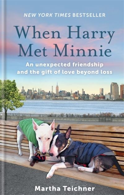 Cover for Martha Teichner · When Harry Met Minnie: An unexpected friendship and the gift of love beyond loss (Paperback Book) (2021)