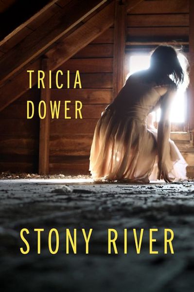 Stony River - Tricia Dower - Bücher - Leapfrog Press - 9781935248866 - 11. Oktober 2016