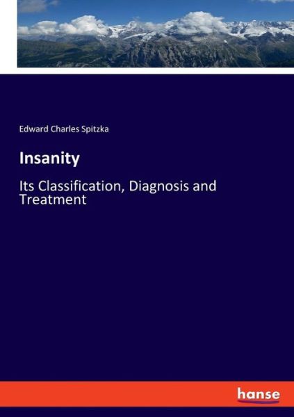 Cover for Spitzka · Insanity (Buch) (2019)