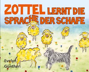Cover for Evelyn Günther · Zottel lernt die Sprache der Schafe (Book) (2023)
