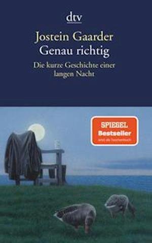 Cover for Gaarder · Genau richtig (Buch)
