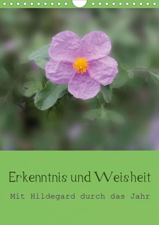 Cover for Bergmann · Erkenntnis und Weisheit - Hild (Book)