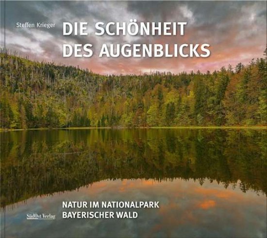 Cover for Krieger · Die Schönheit des Augenblicks (Bog)