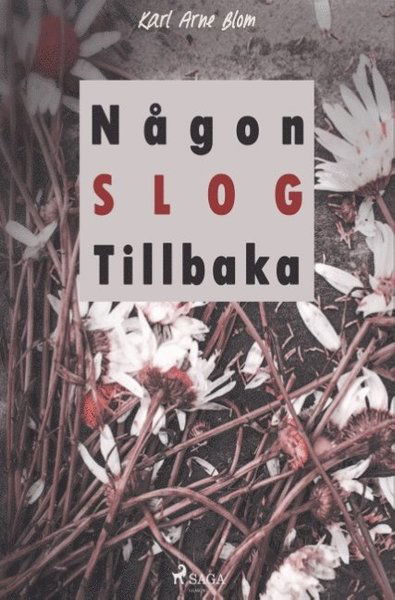 Cover for Karl Arne Blom · Någon slog tillbaka (Book) (2018)