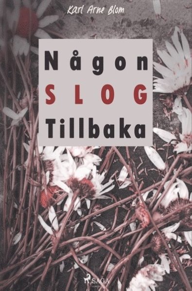 Cover for Karl Arne Blom · Någon slog tillbaka (Bog) (2018)