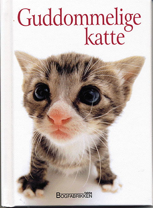 Cover for Helen Exley · En Helen Exley gavebog.: Guddommelige katte (Hardcover Book) [1. Painos] [Hardback] (2005)