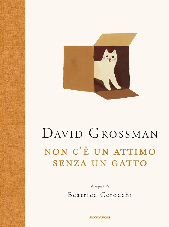 Non C'e Un Attimo Senza Un Gatto - David Grossman - Film -  - 9788804743866 - 