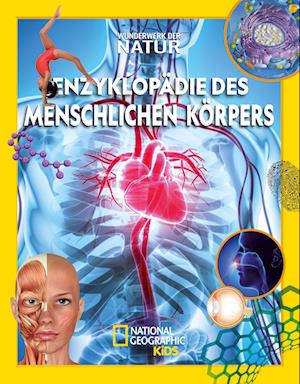 Cover for Annette Ostlaender · Enzyklopädie des menschlichen Körpers: Wunderwerk der Natur (Hardcover Book) (2021)