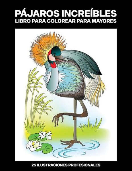 Cover for Bosque Mágico Publicaciones · Pajaros Increibles Libro para Colorear para Mayores (Paperback Book) (2020)