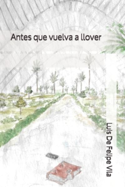 Cover for Luis Guillermo de Felipe Vila · Antes que vuelva a llover (Paperback Book) (2020)