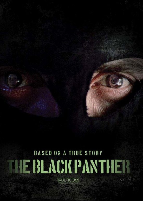 Cover for Black Panther (DVD) (2018)