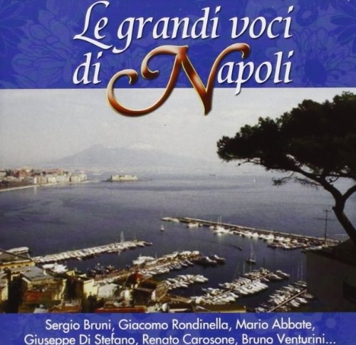 Vari-le Grandi Voci Di Napoli - Le Grandi Voci Di Napoli - Vari - Musikk - Replay - 8015670044867 - 