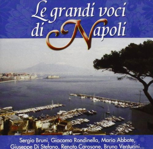 Vari-le Grandi Voci Di Napoli - Le Grandi Voci Di Napoli - Vari - Musikk - Replay - 8015670044867 - 