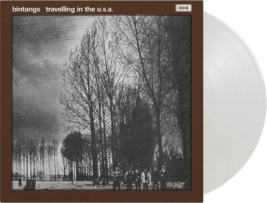 Cover for Bintangs · Travelling in the USA (LP) [Coloured edition] (2022)