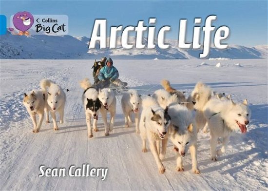Cover for Sean Callery · Arctic Life: Band 04/Blue - Collins Big Cat (Paperback Bog) (2013)