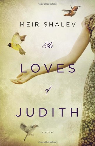 Cover for Meir Shalev · The Loves of Judith: A Novel (Taschenbuch) [Reprint edition] (2012)