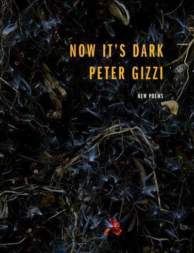 Cover for Peter Gizzi · Now It's Dark - Wesleyan Poetry Series (Hardcover Book) (2021)