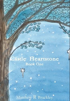 Cover for Matthew R Brackley · Castle Heartstone Book One (Hardcover bog) (2013)