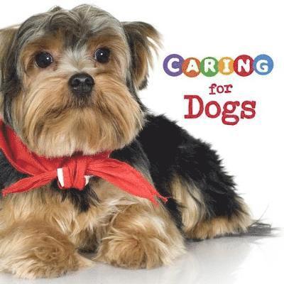 Caring for Dogs - Expert Pet Care - Tammy Gagne - Books - Capstone Global Library Ltd - 9781474760867 - November 1, 2018