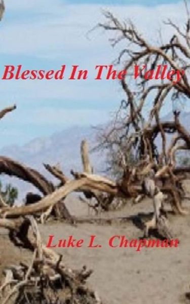 Cover for Luke L Chapman · Blessed in the Valley (Paperback Book) (2014)