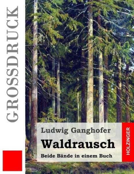 Cover for Ludwig Ganghofer · Waldrausch (Grossdruck): Beide Bande in Einem Buch (Paperback Bog) (2015)