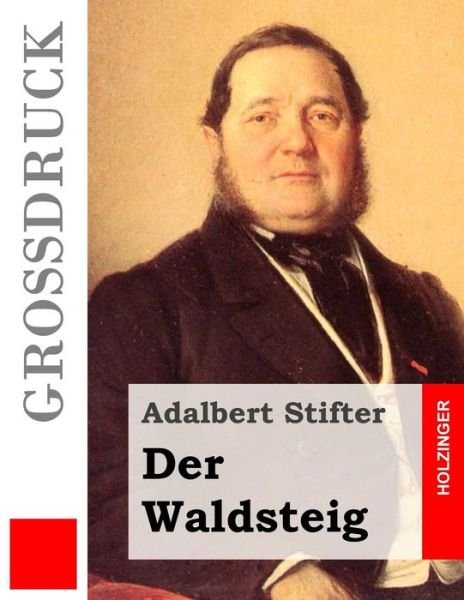Cover for Adalbert Stifter · Der Waldsteig (Grossdruck) (Taschenbuch) (2015)