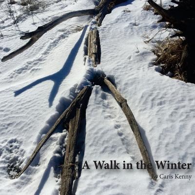 Cover for Caris Young Kenny · A Walk in the Winter (Paperback Book) (2016)