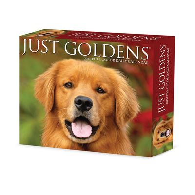 Cover for Willow Creek Press · Goldens 2025 6.2 X 5.4 Box Calendar (Kalender) (2024)