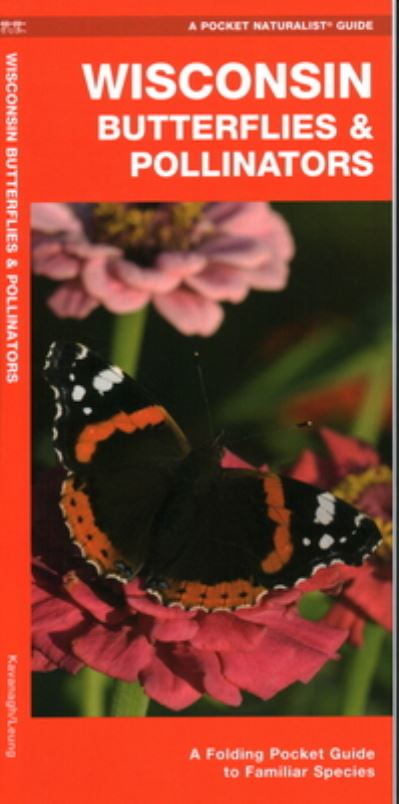 Cover for James Kavanagh · Wisconsin Butterflies &amp; Pollinators: A Folding Pocket Guide to Familiar Species - Pocket Naturalist Guides (Pamphlet) (2020)