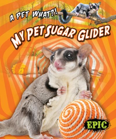 Cover for Paige V. Polinsky · My Pet Sugar Glider (Book) (2020)