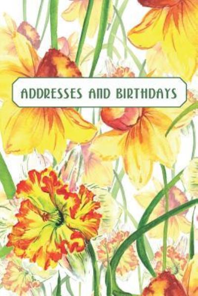 Cover for Andante Press · Addresses and Birthdays (Taschenbuch) (2019)