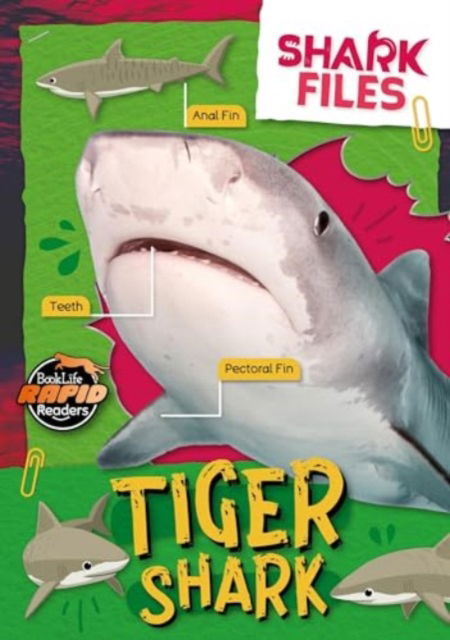 Cover for Robin Twiddy · Tiger Shark - Shark Files (Paperback Book) (2024)
