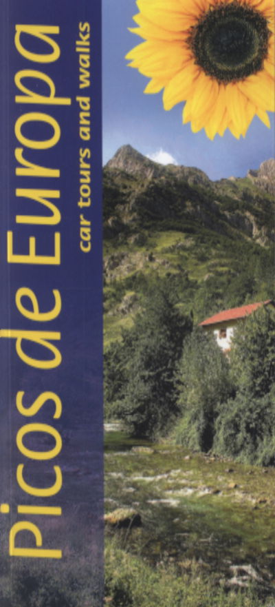 Cover for Teresa Farino · Sunflower Landscapes: Picos de Europa (Sewn Spine Book) (2010)