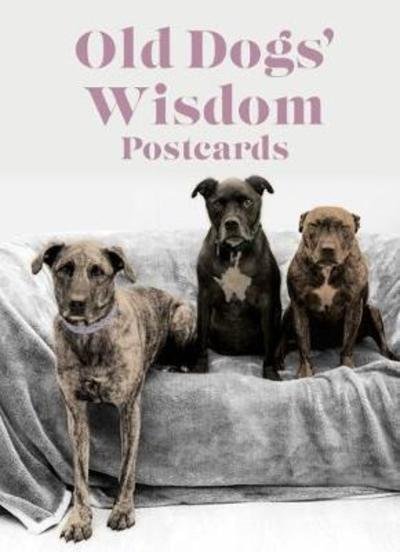 Cover for Fiona Tomlinson · Old Dog Wisdom Postcards (Paperback Book) (2019)