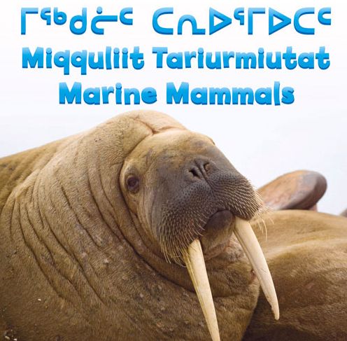 Marine Mammals - Inhabit Media - Kirjat - Inhabit Media Inc - 9781927095867 - keskiviikko 4. helmikuuta 2015