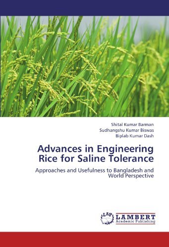 Cover for Biplab Kumar Dash · Advances in Engineering Rice for Saline Tolerance: Approaches and Usefulness to Bangladesh and World Perspective (Pocketbok) (2012)