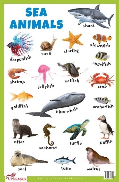 Cover for Pegasus · Sea Animals Educational Chart (Poster) (2022)