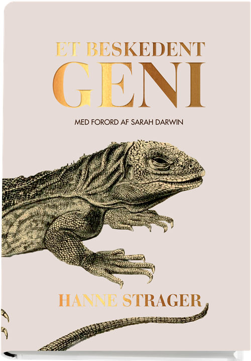 Cover for Hanne Strager · Et beskedent geni (Innbunden bok) [1. utgave] (2016)