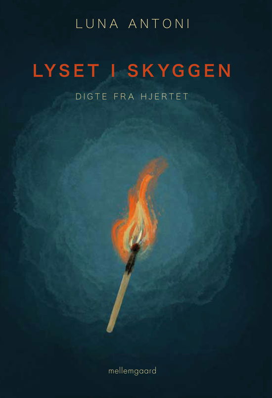 Cover for Luna Antoni · Lyset i skyggen (Sewn Spine Book) [1e uitgave] (2023)