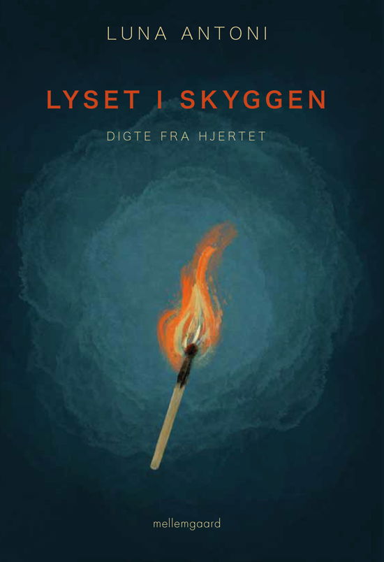 Cover for Luna Antoni · Lyset i skyggen (Poketbok) [1:a utgåva] (2023)