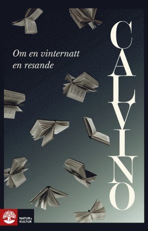 Cover for Italo Calvino · Om en vinternatt en resande (Bog) (2017)