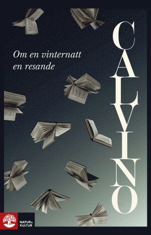 Cover for Italo Calvino · Om en vinternatt en resande (Buch) (2017)